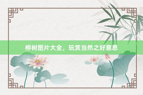 柳树图片大全，玩赏当然之好意思